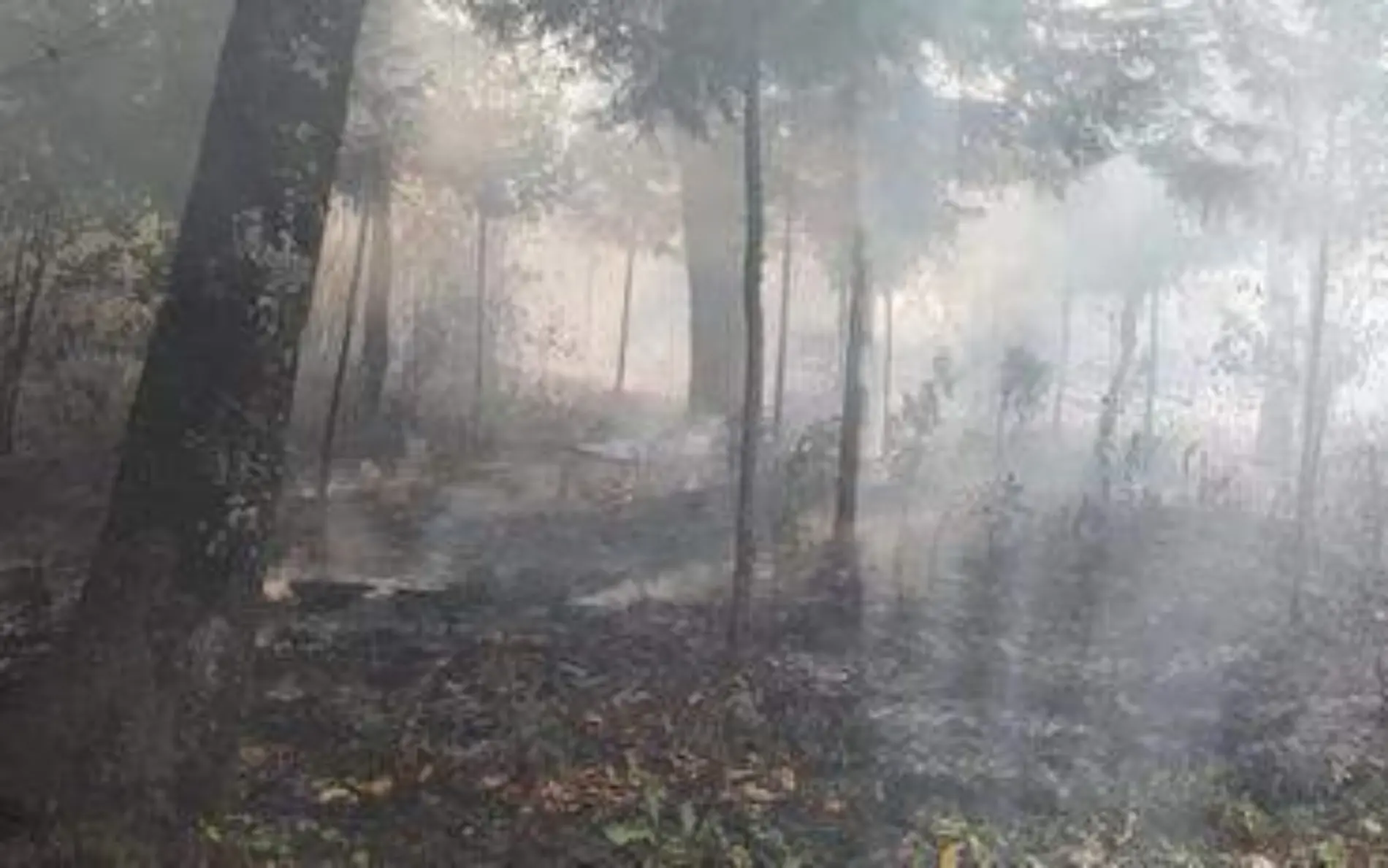 El incendio más fuerte que presentó el municipio fue el que se registró en el Cerro de la Corona Archivo